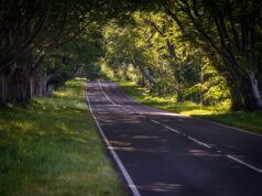 Les routes françaises à ne pas manquer pour les passionnés de conduite roadtrip routes france
