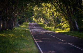 Les routes françaises à ne pas manquer pour les passionnés de conduite roadtrip routes france